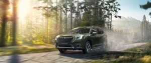 Grüner Subaru Forester fährt auf Waldweg bei Sonnenaufgang, umgeben von Bäumen und Bergen im Hintergrund