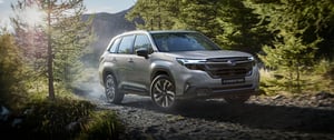 Subaru Forester im Wald