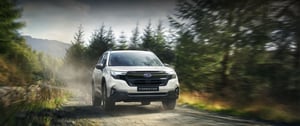 Weißer Subaru Forester als Sonderedition auf einem Waldweg mit Bäumen und Bergen im Hintergrund