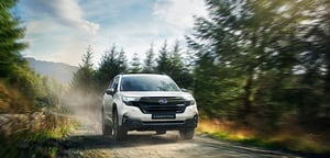 Forester Sonderedition im Wald