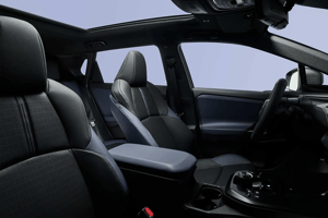 SOLTERRA Interieur Fahrersitz