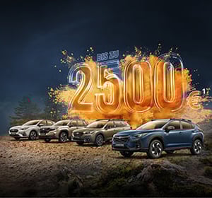 Verschiedene Subaru Fahrzeuge auf staubiger Straße, darüber leuchtet 'Bis zu 2500€' in großer Schrift.