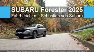 Silberner Subaru Forester fährt auf kurviger Straße durch herbstlichen Wald. Bildauszug aus dem Fahrbericht.