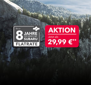 8 Jahre Flatrate Badge mit Aktionsbanner für Verbrenner-Modelle