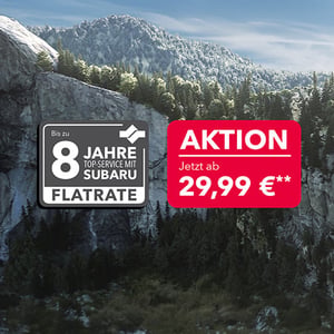 Flatrate_verbrenner_neu