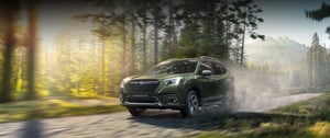 Grüner Subaru Forester fährt auf Waldweg bei Sonnenaufgang, umgeben von Bäumen und Bergen im Hintergrund