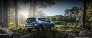 Subaru Forester in blau von hinten im Wald